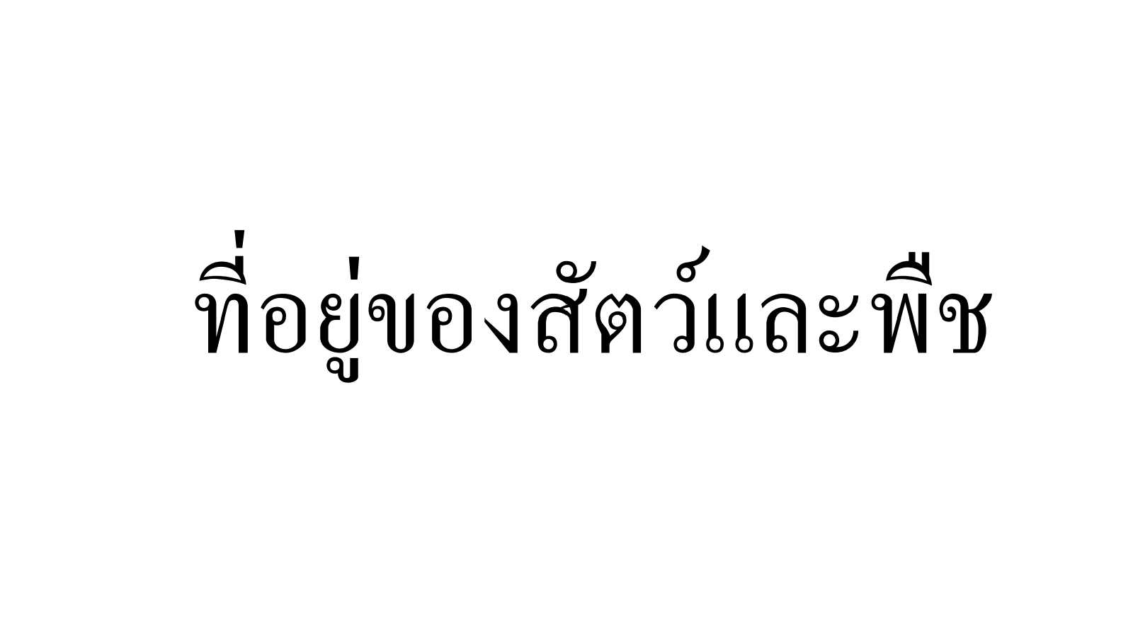 บัตรภาพประกอบการสอน_เรื่อง_ที่อยู่ของสัตว์และพืช_3_240627_160043_1