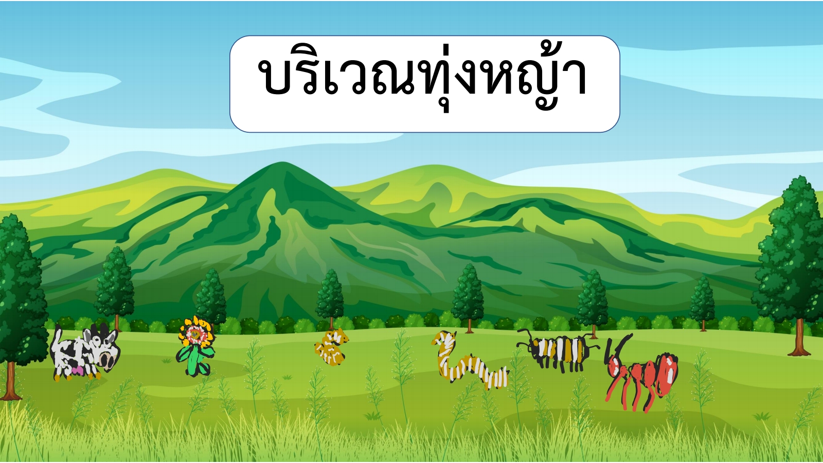 บัตรภาพประกอบการสอน_เรื่อง_ที่อยู่ของสัตว์และพืช_3_240627_160043_2