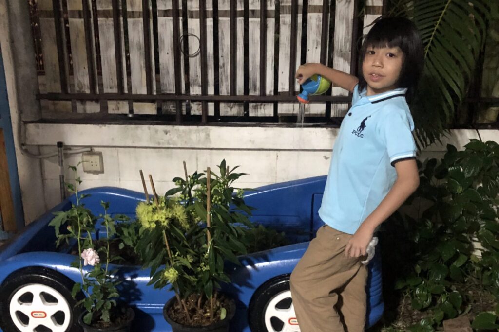 ป.2 - 2025-06-28 - Planting Trees
